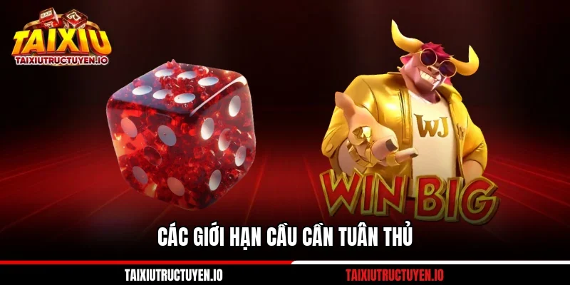 Các giới hạn cầu cần tuân thủ
