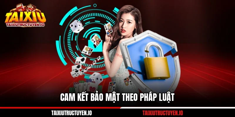 Cam kết bảo mật theo pháp luật
